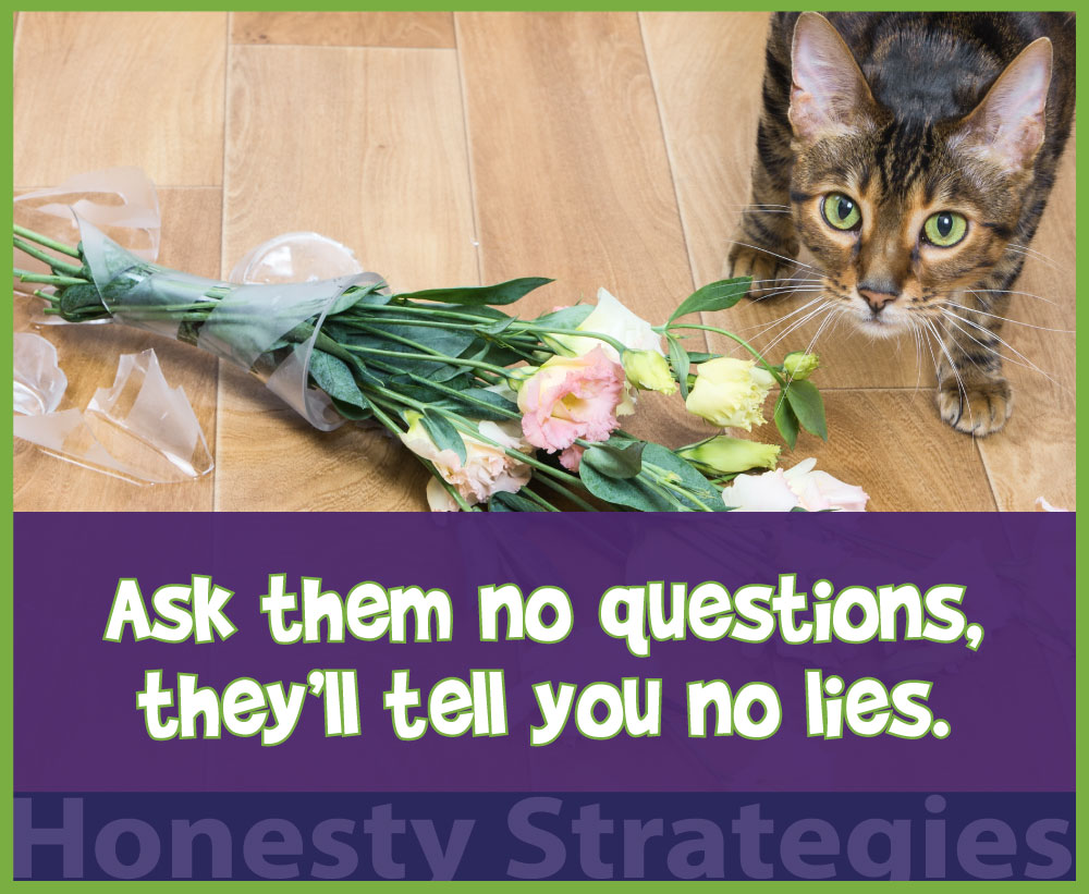 'Ask no questions, they'll tell no lies'- Social Emotional Learning Techniques on Honesty
